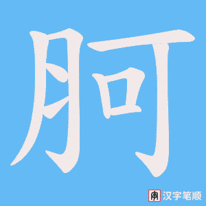 《胢》的笔顺动画写字动画演示