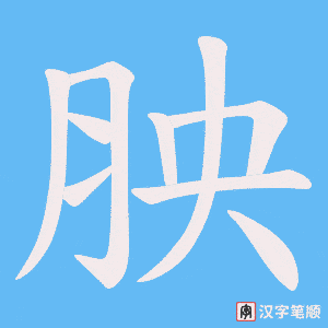 《胦》的笔顺动画写字动画演示