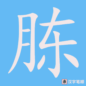 《胨》的笔顺动画写字动画演示