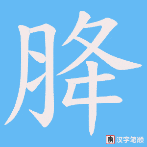 《胮》的笔顺动画写字动画演示