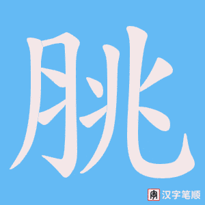 《脁》的笔顺动画写字动画演示