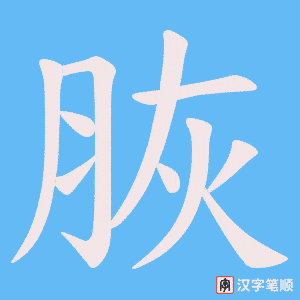 《脄》的笔顺动画写字动画演示