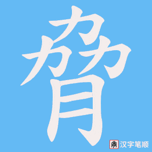 《脅》的笔顺动画写字动画演示