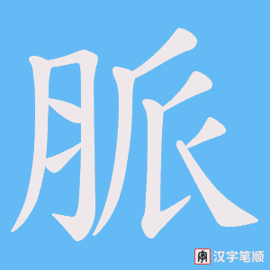 《脈》的笔顺动画写字动画演示