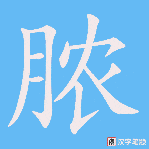 《脓》的笔顺动画写字动画演示