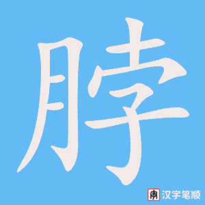 《脖》的笔顺动画写字动画演示