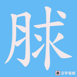 《脙》的笔顺动画写字动画演示