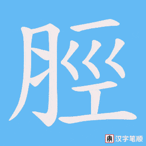 《脛》的笔顺动画写字动画演示