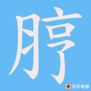 《脝》的笔顺动画写字动画演示