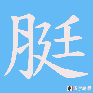 《脡》的笔顺动画写字动画演示