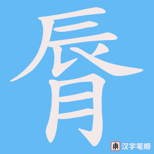 《脣》的笔顺动画写字动画演示