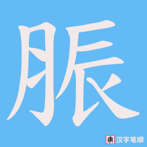 《脤》的笔顺动画写字动画演示