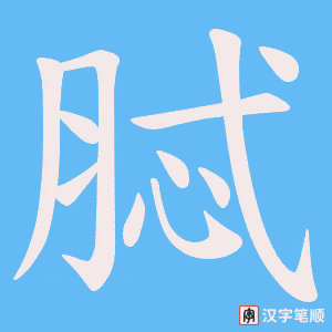 《脦》的笔顺动画写字动画演示