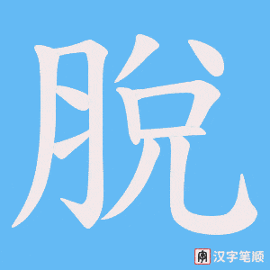 《脫》的笔顺动画写字动画演示