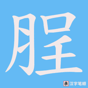 《脭》的笔顺动画写字动画演示