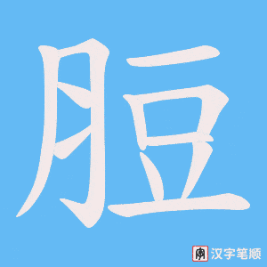 《脰》的笔顺动画写字动画演示