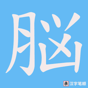 《脳》的笔顺动画写字动画演示
