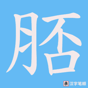 《脴》的笔顺动画写字动画演示