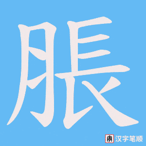 《脹》的笔顺动画写字动画演示