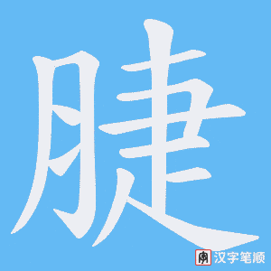 《脻》的笔顺动画写字动画演示