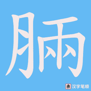 《脼》的笔顺动画写字动画演示