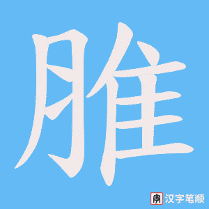 《脽》的笔顺动画写字动画演示