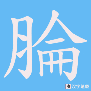《腀》的笔顺动画写字动画演示