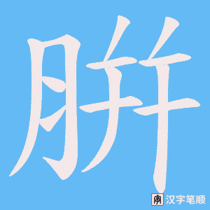 《腁》的笔顺动画写字动画演示