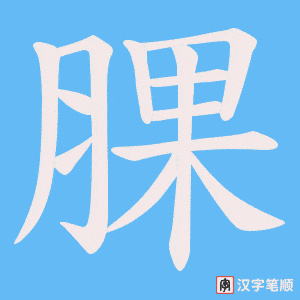 《腂》的笔顺动画写字动画演示