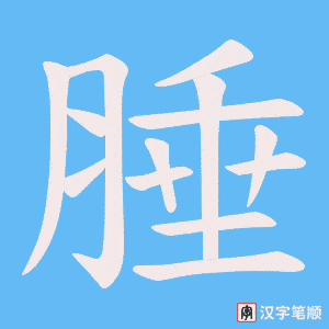 《腄》的笔顺动画写字动画演示