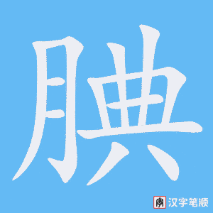 《腆》的笔顺动画写字动画演示