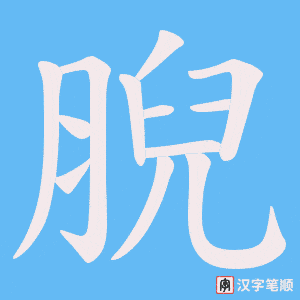 《腉》的笔顺动画写字动画演示