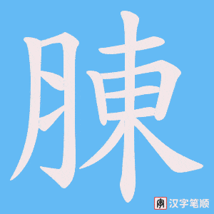 《腖》的笔顺动画写字动画演示
