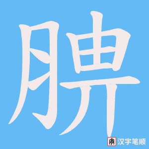 《腗》的笔顺动画写字动画演示