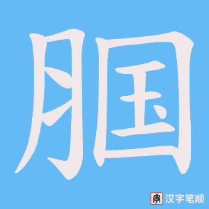 《腘》的笔顺动画写字动画演示