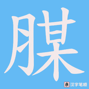 《腜》的笔顺动画写字动画演示