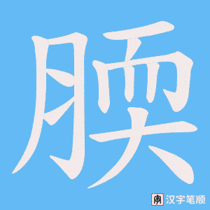 《腝》的笔顺动画写字动画演示