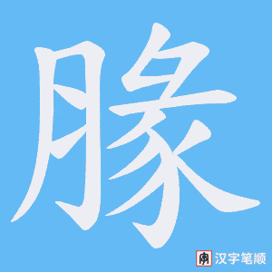 《腞》的笔顺动画写字动画演示