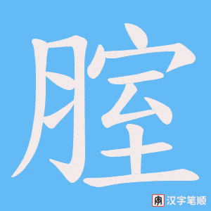 《腟》的笔顺动画写字动画演示