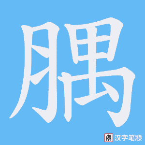 《腢》的笔顺动画写字动画演示