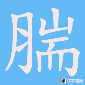 《腨》的笔顺动画写字动画演示