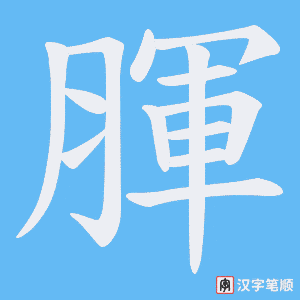 《腪》的笔顺动画写字动画演示