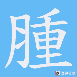 《腫》的笔顺动画写字动画演示