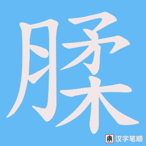 《腬》的笔顺动画写字动画演示