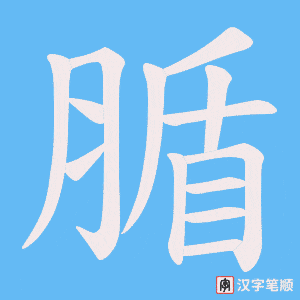 《腯》的笔顺动画写字动画演示