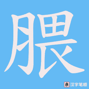 《腲》的笔顺动画写字动画演示
