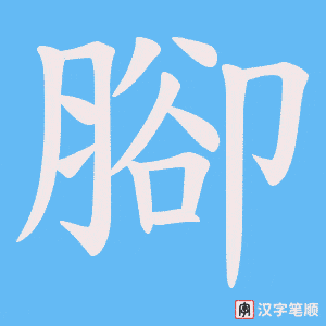 《腳》的笔顺动画写字动画演示