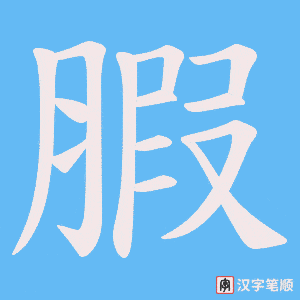 《腵》的笔顺动画写字动画演示