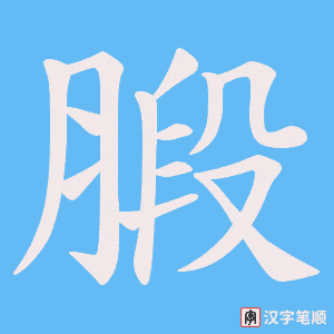 《腶》的笔顺动画写字动画演示