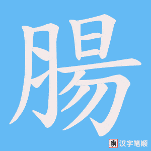 《腸》的笔顺动画写字动画演示